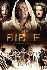 The Bible (2013)